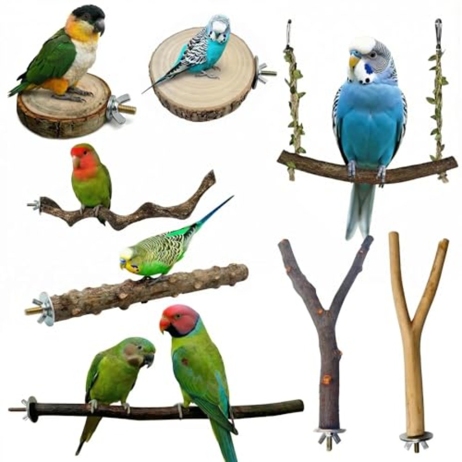 Health & Wellness Kuala Lumpur - 8PCS tempat bertengger burung dari kayu