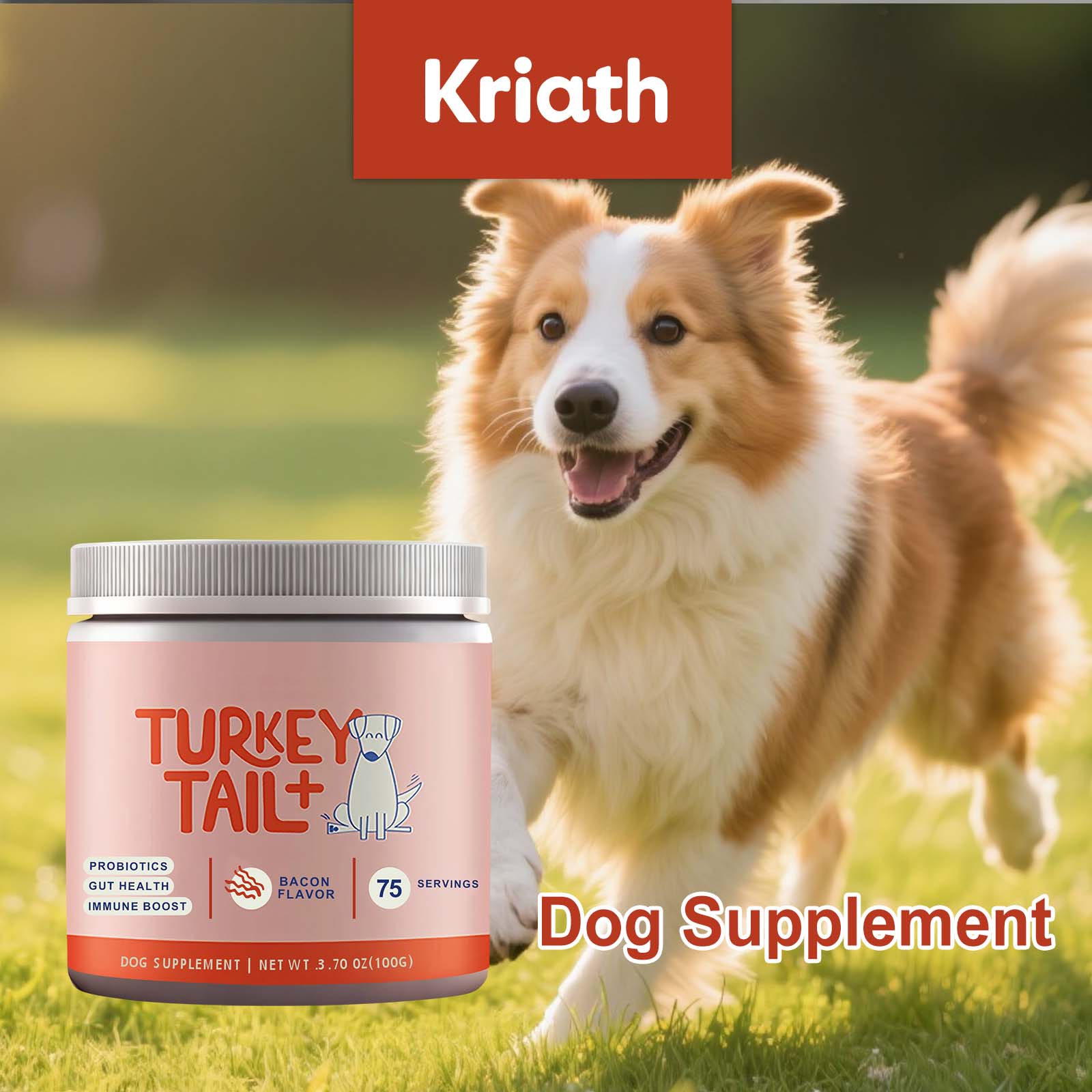 Bubuk Probiotik Anjing Menduku - Health Wellness Vitality ulasan dan harga